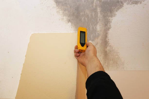 Best Forensic Mold Investigation  in Madison, GA