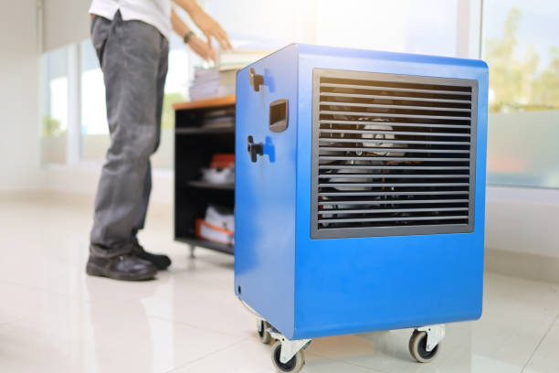Best Mold Documentation for Insurance Claims  in Madison, GA
