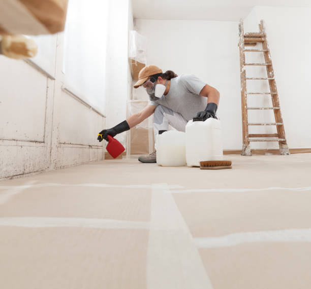  Madison, GA Mold Removal Pros