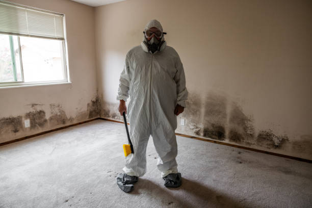 Best Industrial Mold Remediation  in Madison, GA